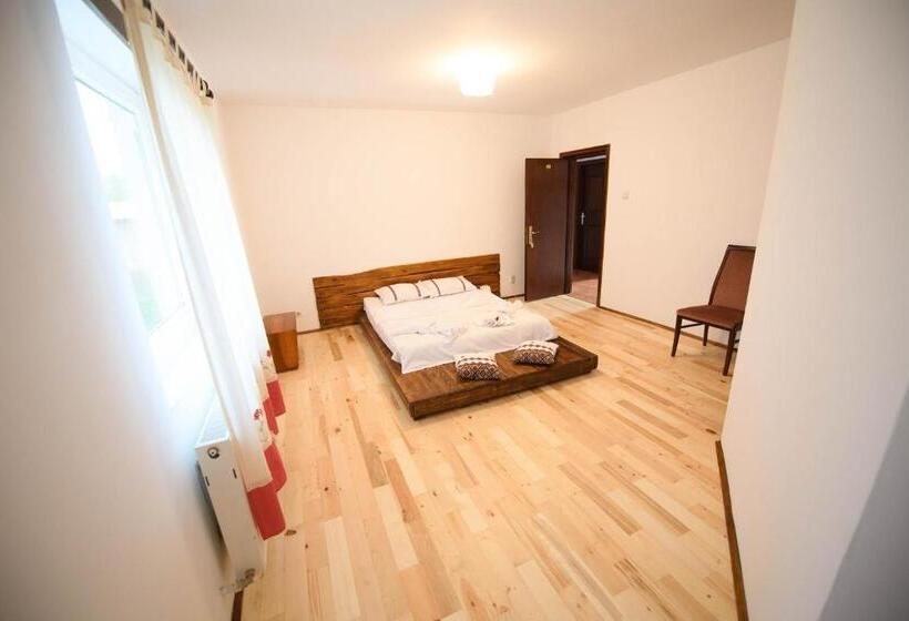 스탠다드 룸, Vila Toate Panzele Sus