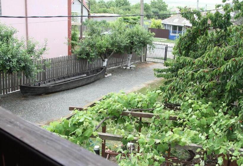 스탠다드 룸 공동 욕실, Vila Toate Panzele Sus