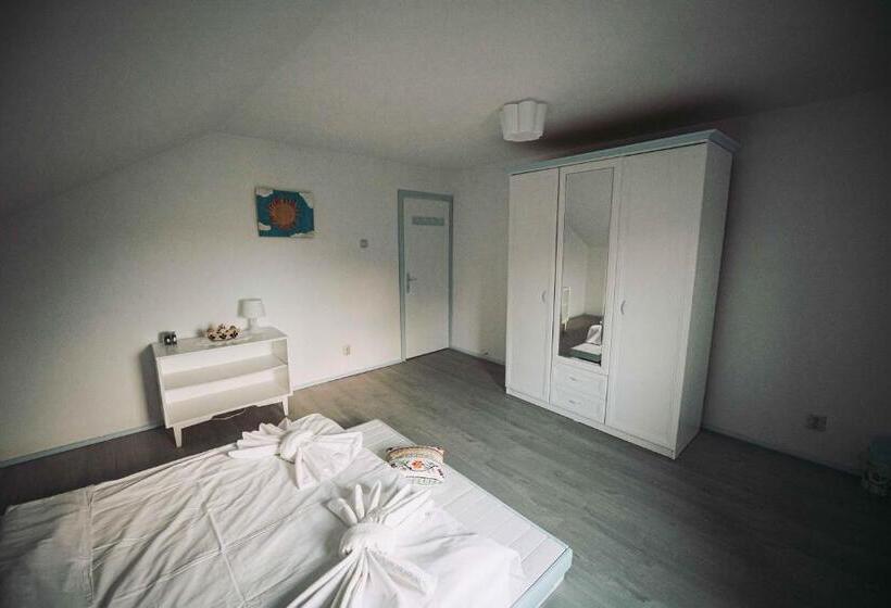 스탠다드 룸 공동 욕실, Vila Toate Panzele Sus