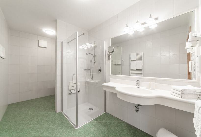 带1个卧室的高级公寓, Family Aparthotel Winklwiese