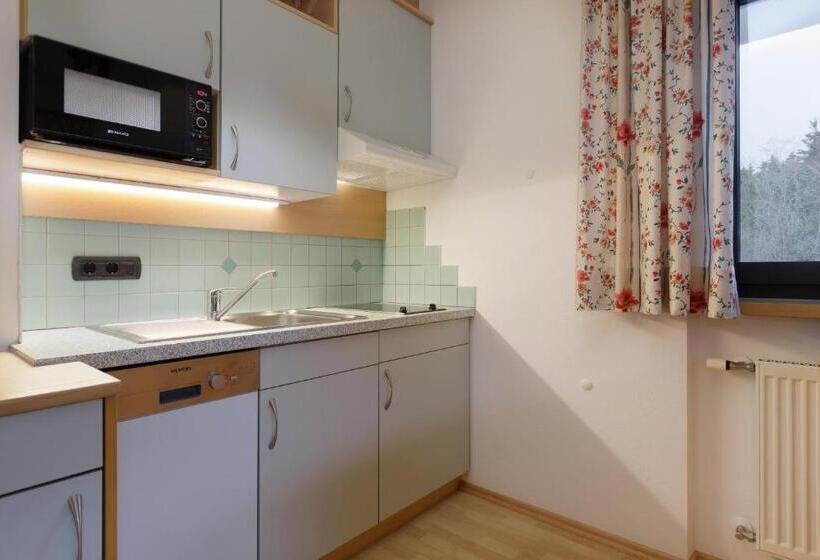 חדר סטודיו סטנדרד, Family Aparthotel Winklwiese