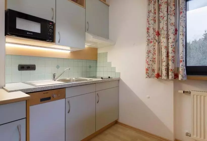 スタンダードスタジオ, Family Aparthotel Winklwiese