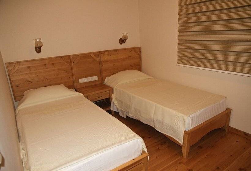 اتاق استاندارد, Odile