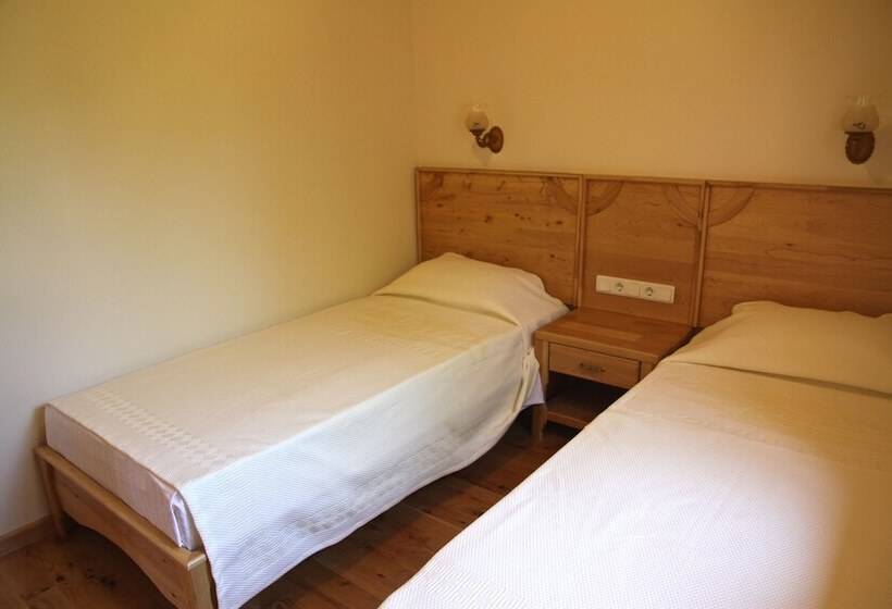 اتاق استاندارد, Odile