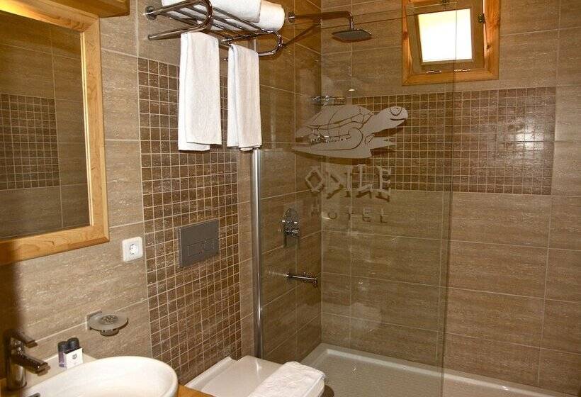 اتاق استاندارد, Odile