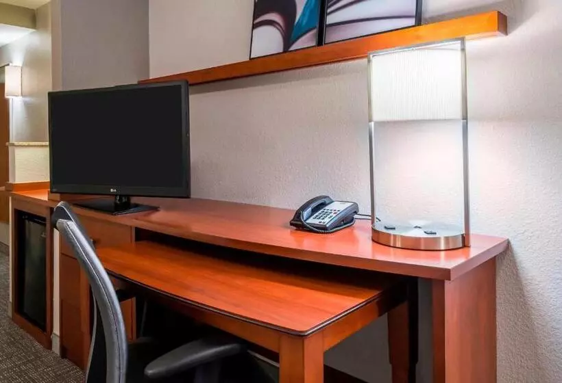 اتاق استاندارد با تخت بزرگ, Courtyard Fort Myers At I75 And Gulf Coast Town Center