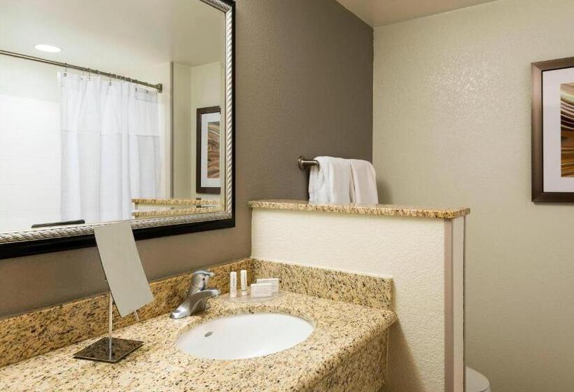 장애인을 위한 킹사이즈 침대 스탠다드 룸, Courtyard Fort Myers At I75 And Gulf Coast Town Center