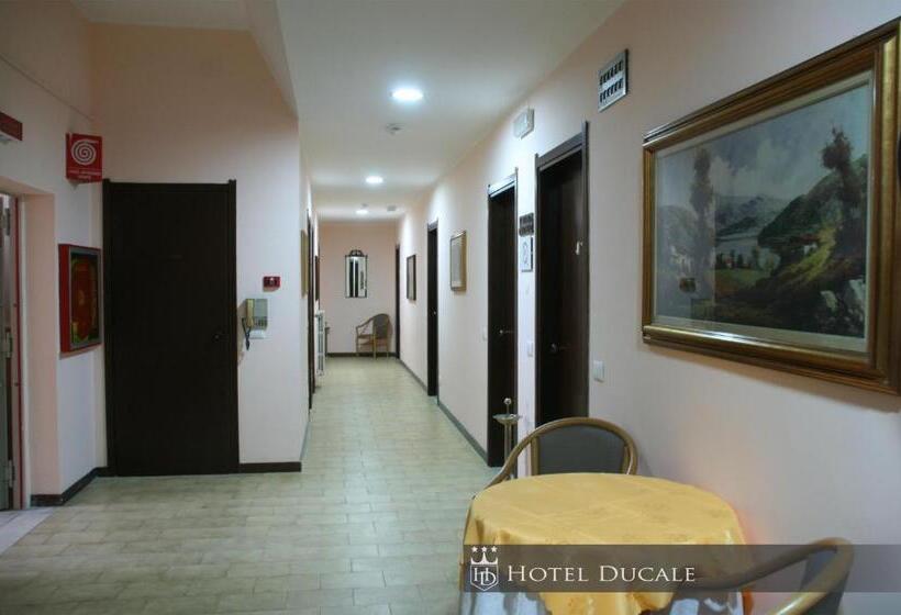 标准单人间, Ducale