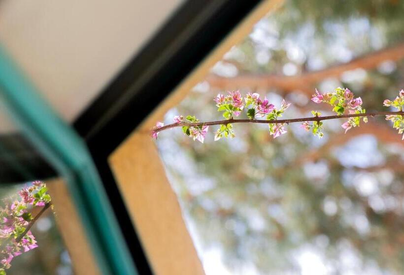 اتاق راحتی با چشمانداز دریا, Casa Santini X Roc Seven