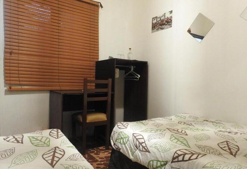 מיטה בחדר משותף, Manso Boutique Guest House