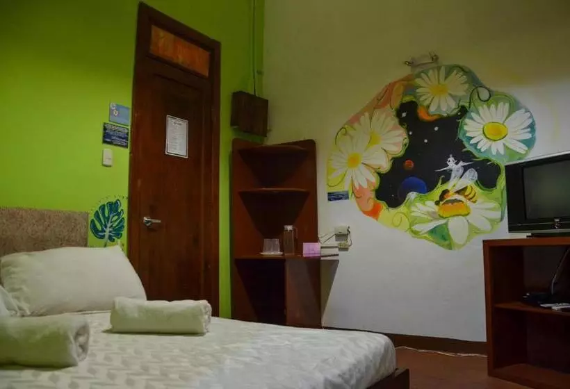 Economy-huone, Manso Boutique Guest House