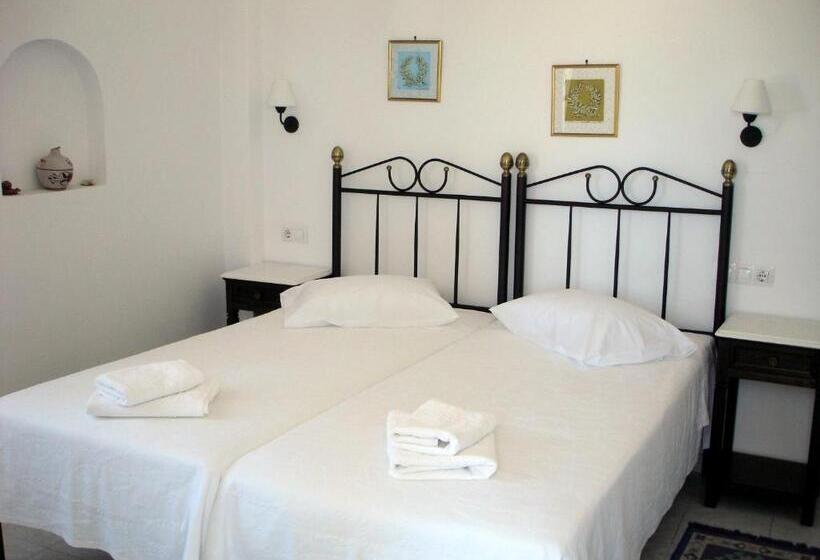 Quarto Estandar, Panorama