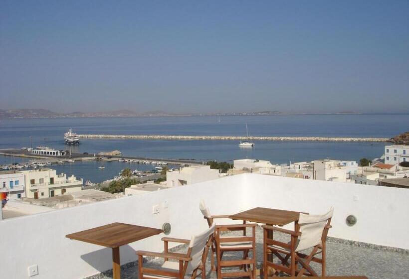 Quarto Estandar, Panorama