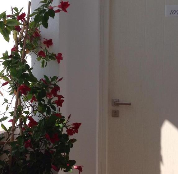 Quarto Estandar, Panorama