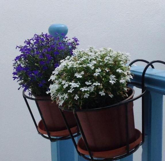 Quarto Economy, Panorama