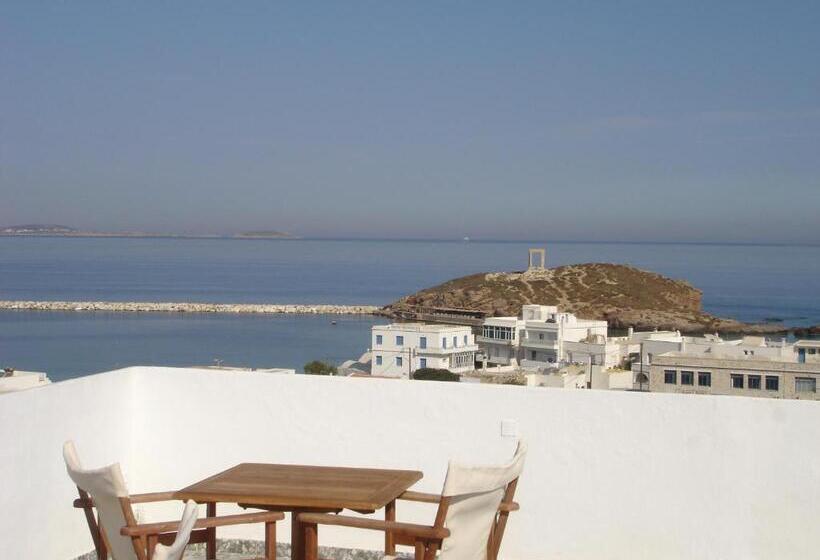 Suíte Júnior, Panorama