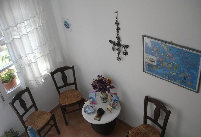 Quarto Quádruplo Estandar, Panorama