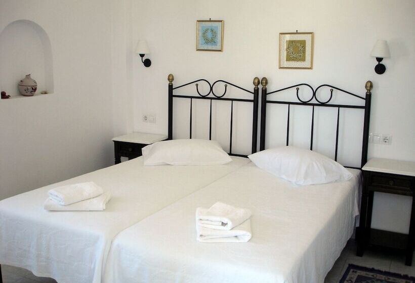 Quarto Estandar, Panorama