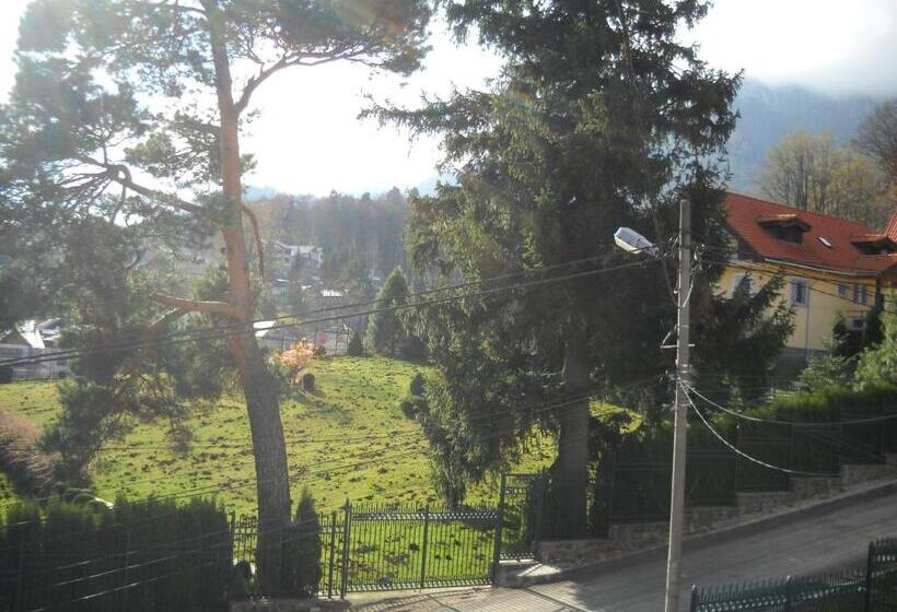 家庭套房, Pension Paunasul