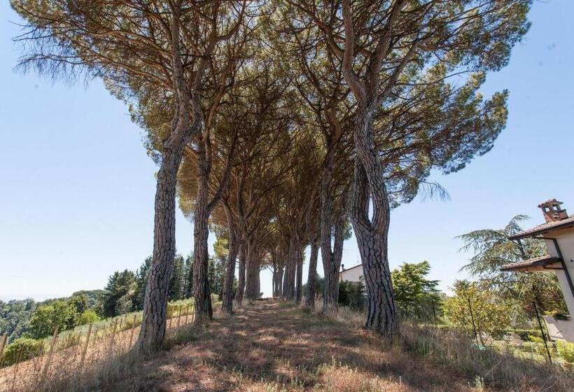 בקתה סטנדרטית, Podere Caldaruccio La Pineta