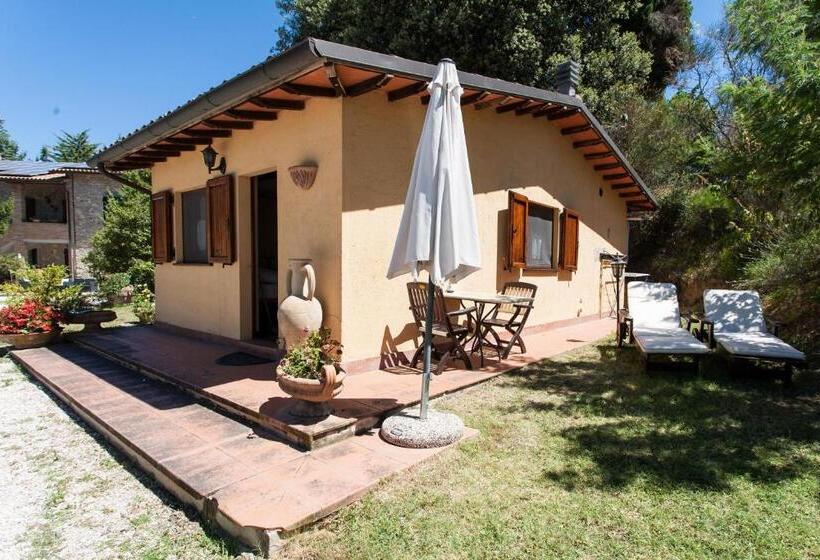 Бунгало Стандарт, Podere Caldaruccio La Pineta