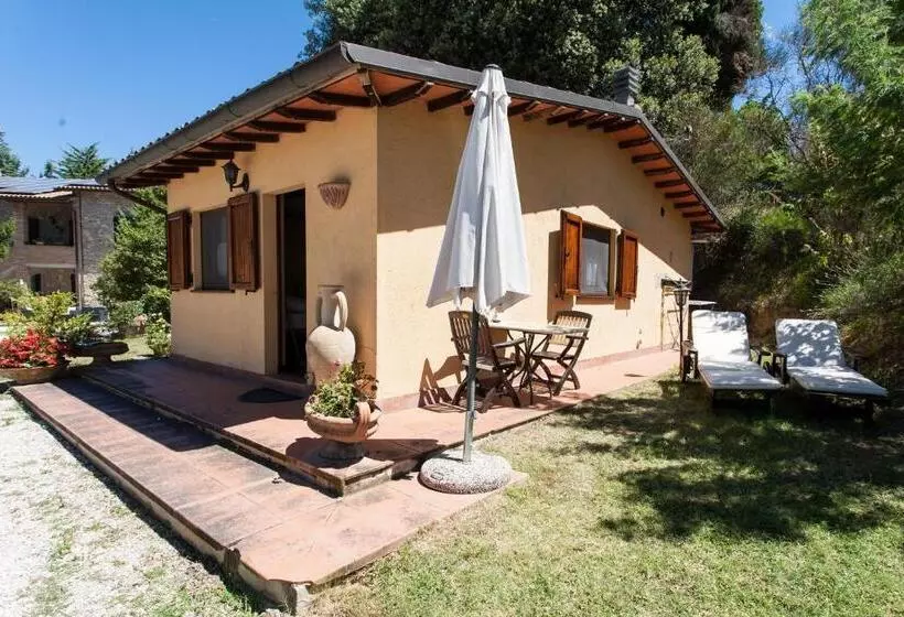 スタンダードバンガロー, Podere Caldaruccio La Pineta