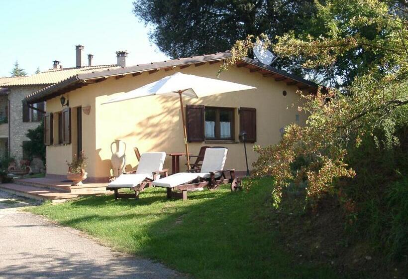 Бунгало Стандарт, Podere Caldaruccio La Pineta