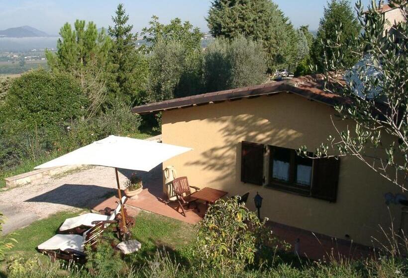 בקתה סטנדרטית, Podere Caldaruccio La Pineta