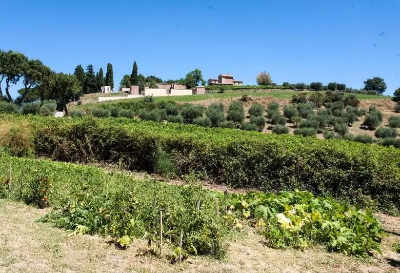１ベッドルームハウス, Podere Caldaruccio La Pineta