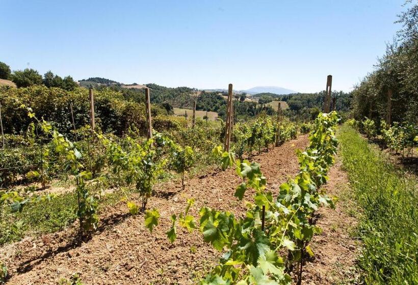 1间卧室的房子, Podere Caldaruccio La Pineta