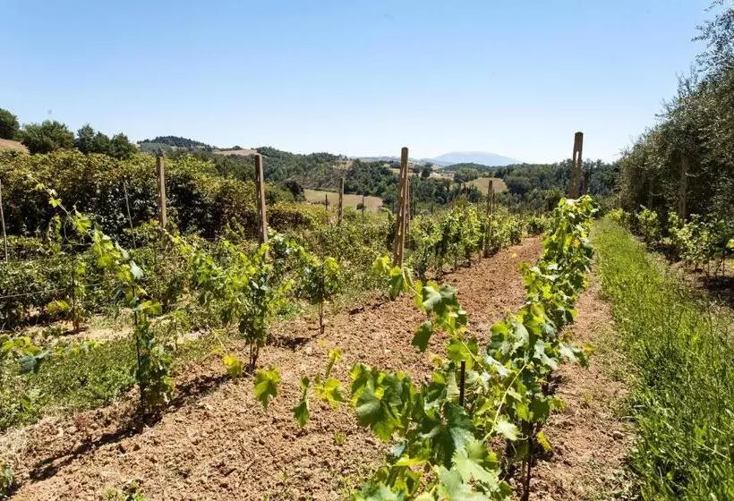 １ベッドルームハウス, Podere Caldaruccio La Pineta