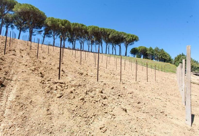 בית, חדר שינה 1, Podere Caldaruccio La Pineta