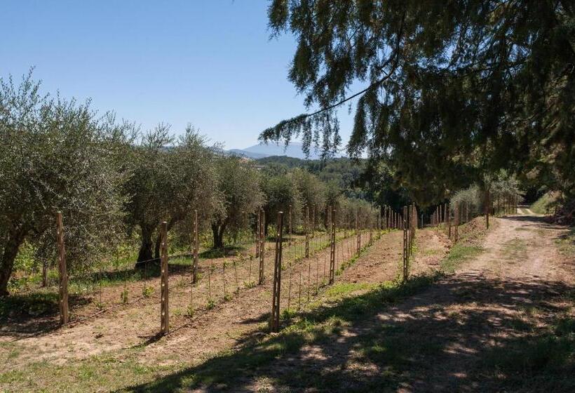 בית, חדר שינה 1, Podere Caldaruccio La Pineta