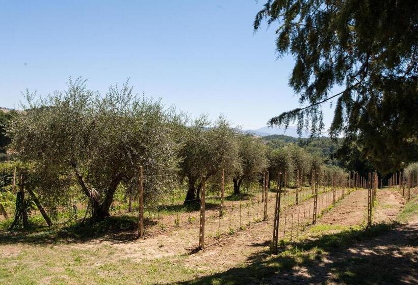 Дом 1 Спальня, Podere Caldaruccio La Pineta