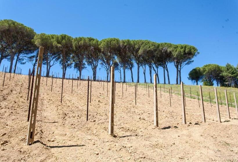 בית, חדר שינה 1, Podere Caldaruccio La Pineta