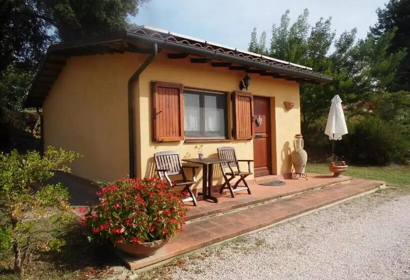スリーベッドルーム　ヴィラ, Podere Caldaruccio La Pineta