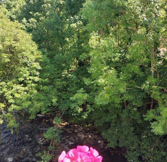 اتاق استاندارد با چشم‌انداز, Rural Cabrales