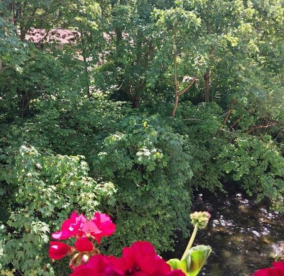 اتاق استاندارد با چشم‌انداز, Rural Cabrales