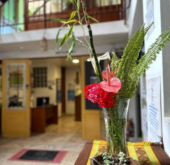 اتاق سوپریور با تخت بزرگ, ñuñurco Travellers