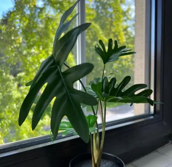 スタンダードルーム, Geroweiher Doppelbettzimmer Mönchengladbach Stadtmitte