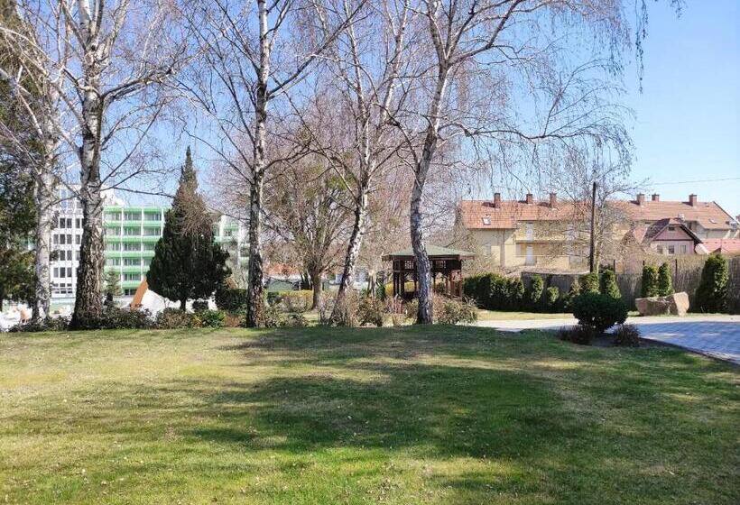 带1个卧室的带阳台的公寓, Spa Residence Carbona Emdona Luxury Apartment