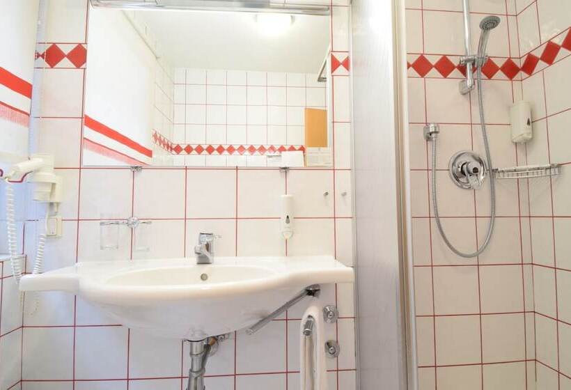 スタンダードシングルルーム, Der Abtenauer