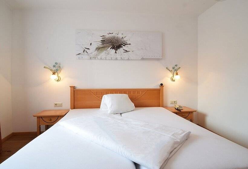 スタンダードシングルルーム, Der Abtenauer