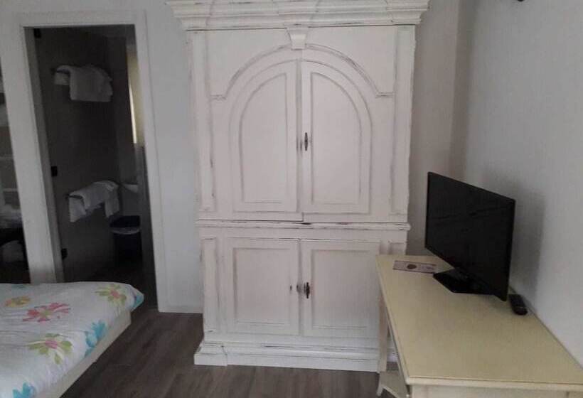 スタンダードルーム, Due Colonne