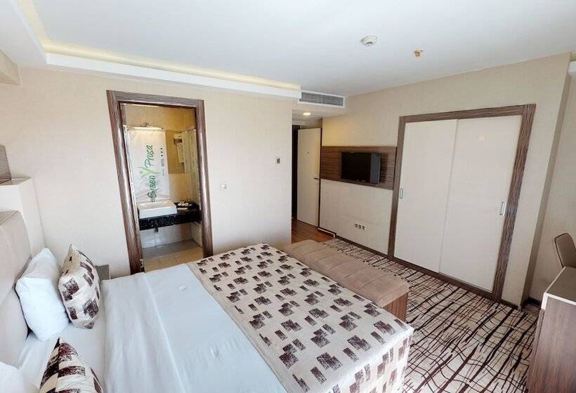 اتاق استاندارد, Green Prusa