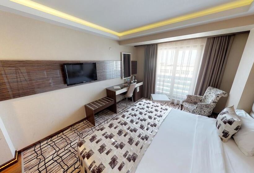 اتاق استاندارد, Green Prusa