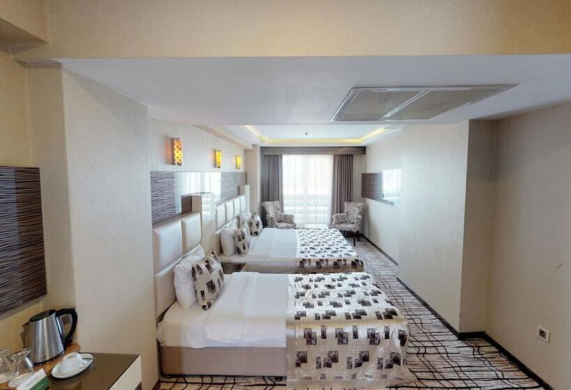 اتاق استاندارد سه نفره, Green Prusa