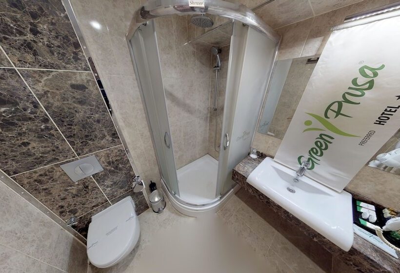 اتاق خانوادگی, Green Prusa