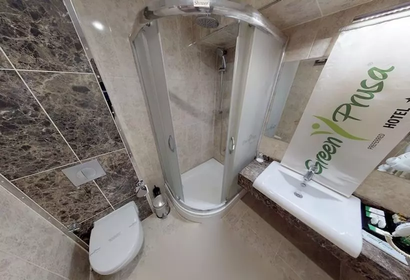 اتاق خانوادگی, Green Prusa