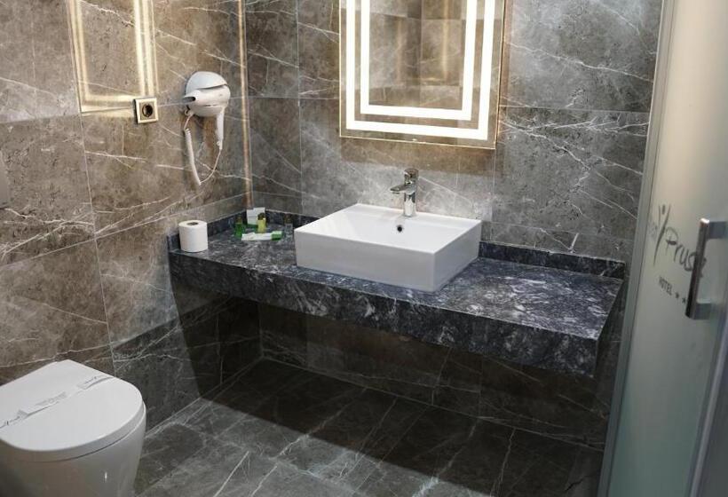 اتاق استاندارد, Green Prusa